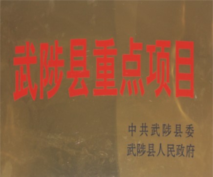 武陟縣重點(diǎn)項目