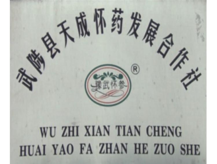 武陟縣天成懷藥發(fā)展合作社