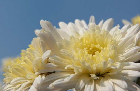 1539995112419146.png 圖片1.png