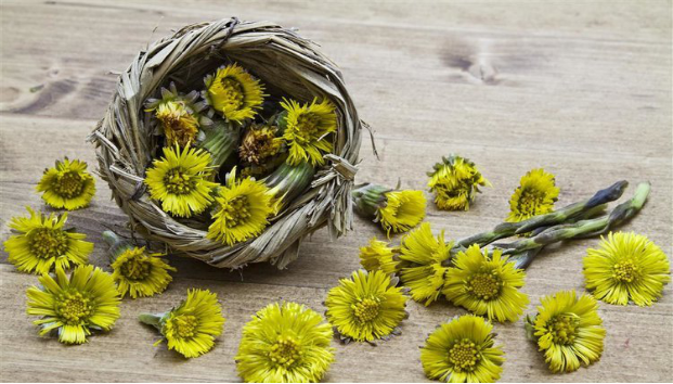 1539995149848242.png 圖片2.png